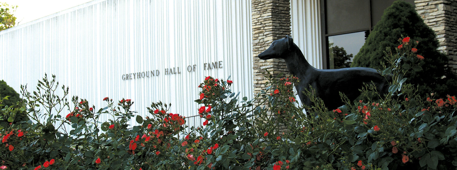 About Greyhound Hall of Fame