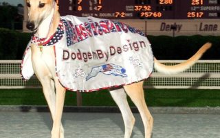 Greyhound in decorative robe standing at race track.
