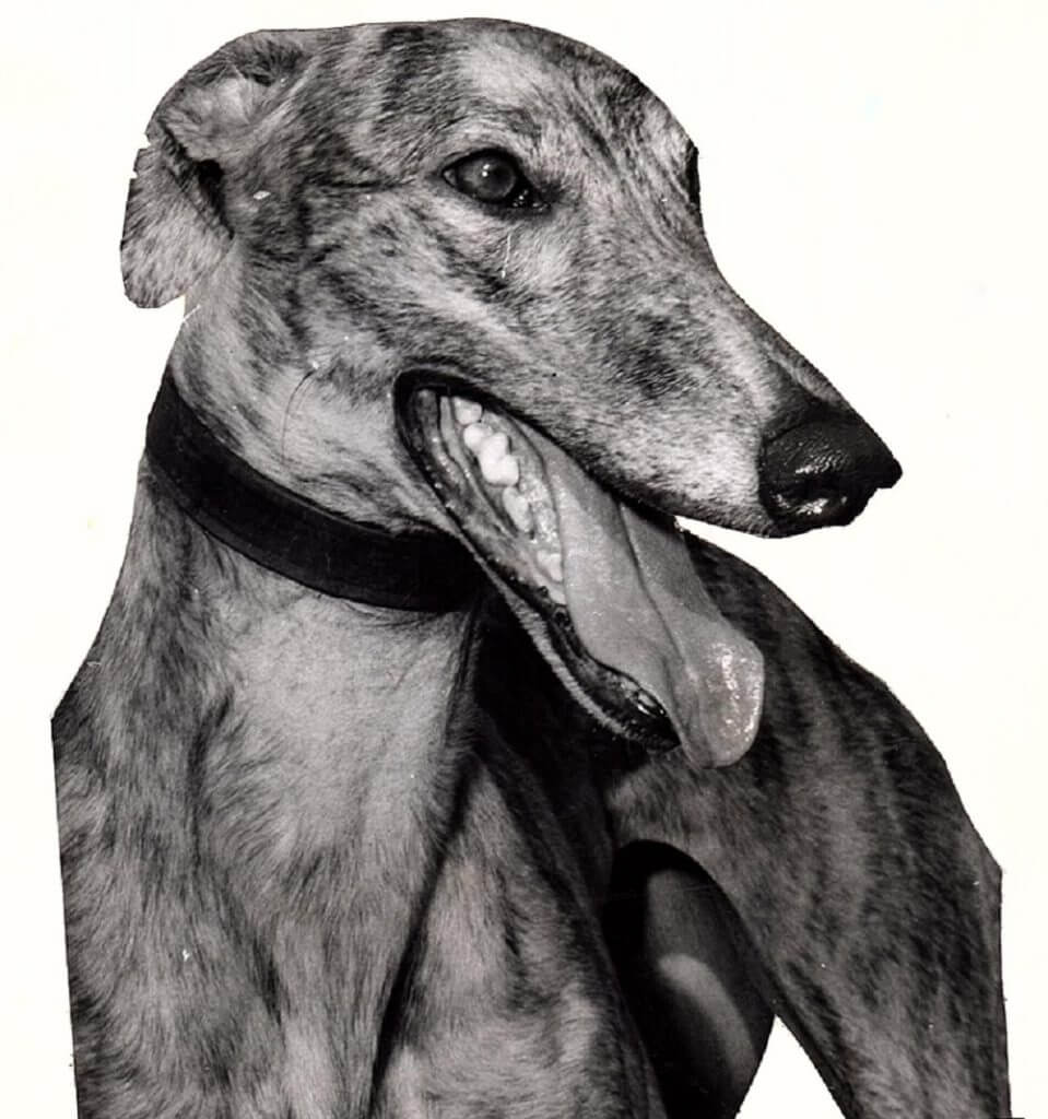 Wayside Carol