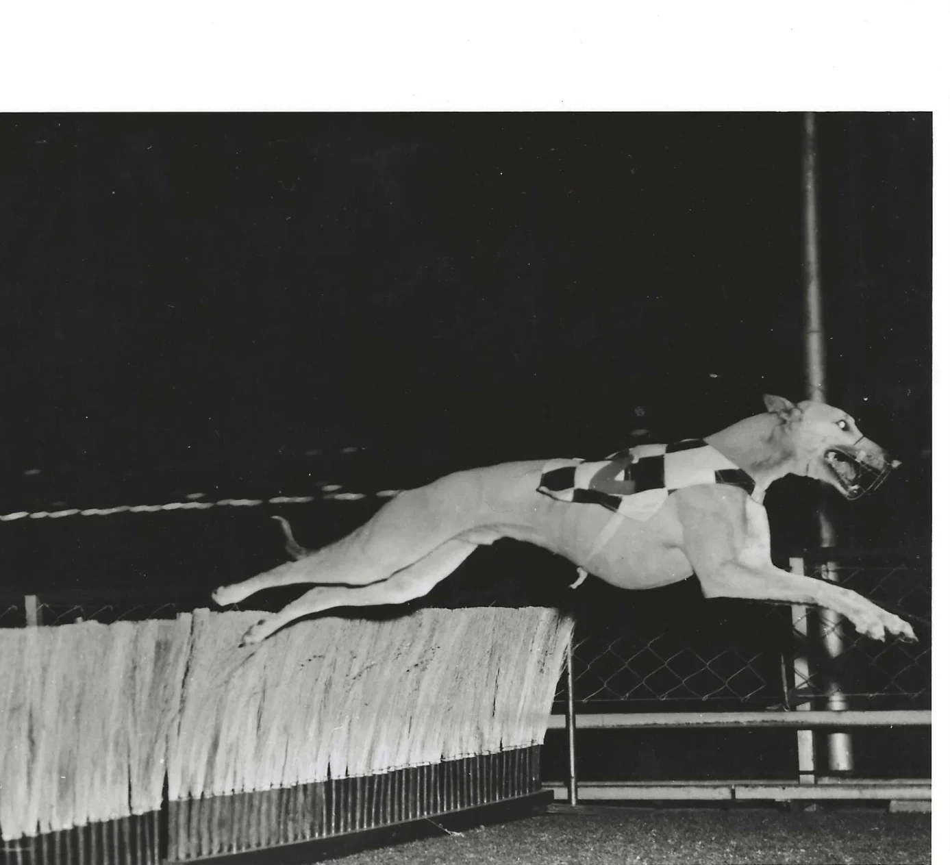 1974 Chief Havoc_Page_1 Inductees: Chief Havoc (Australian)