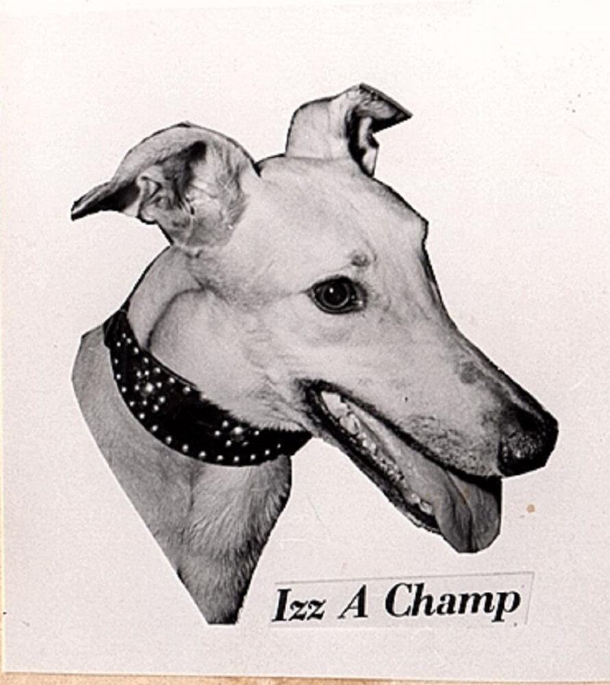 Izz A Champ