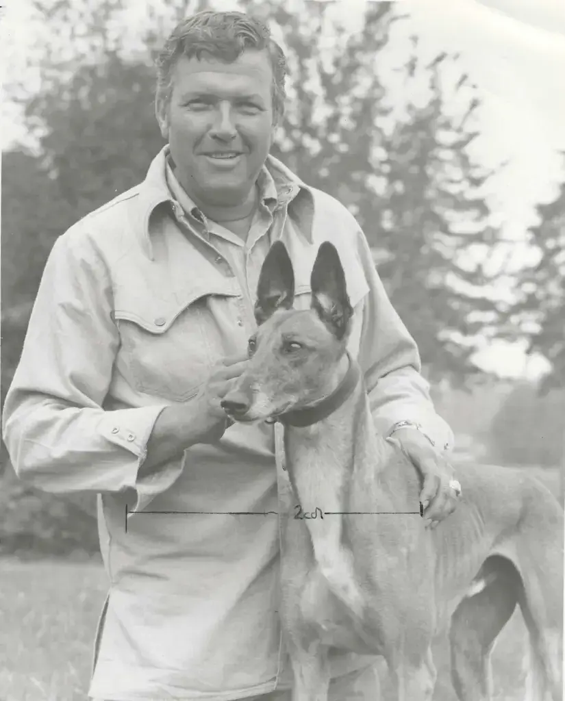 P.L. Greer