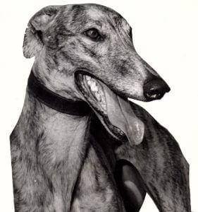 Wayside Carol