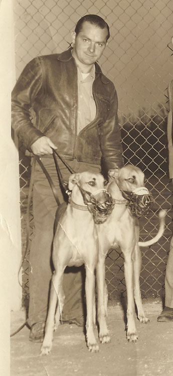 Man holding two leashed greyhounds by a fence.