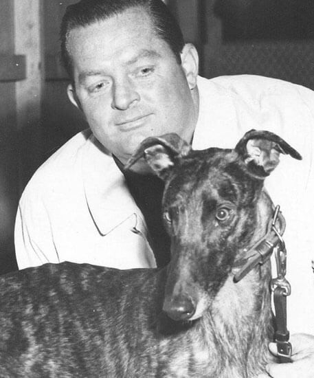 Man admiring a greyhound dog closely indoors.