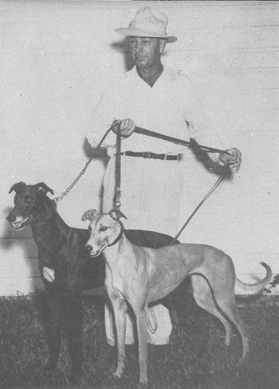 Man holding two leashed greyhounds outdoors.