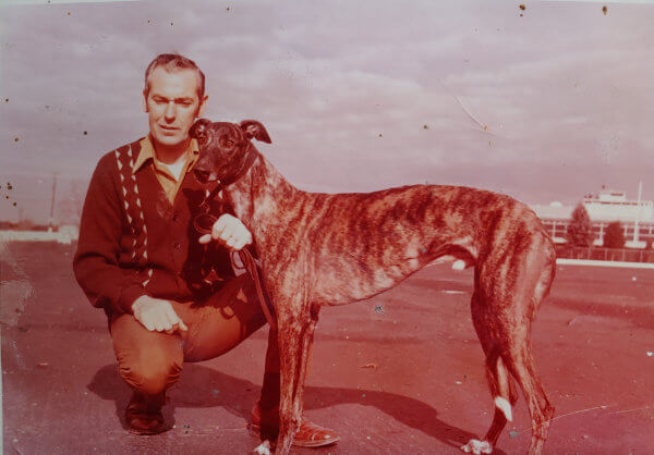 Man kneeling beside a standing brindle greyhound.