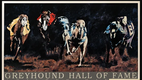 Greyhound Hall of Fame Poster